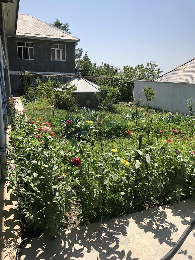 Bed and Breakfast Shaki Host House Шекі Екстер'єр фото